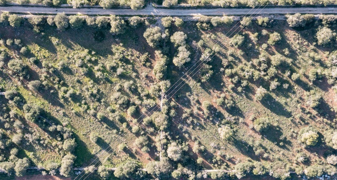 Terreno rústico edificable en Ses Salines, sureste de Mallorca