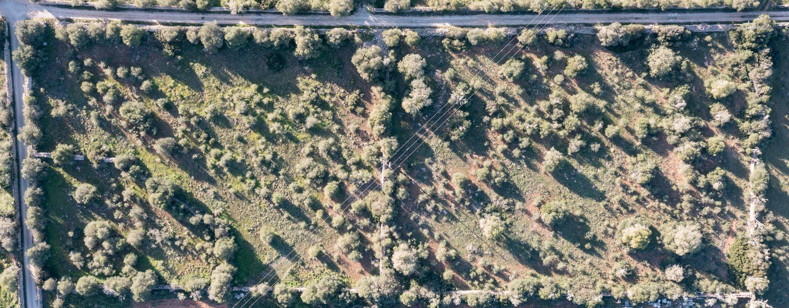 Terreno rústico edificable en Ses Salines, sureste de Mallorca