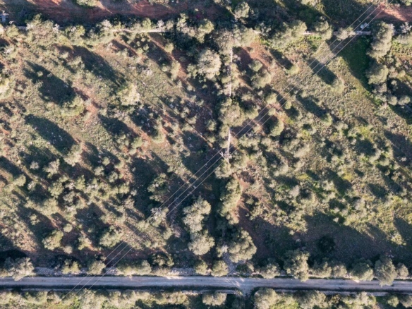Terreno rústico edificable en Ses Salines, sureste de Mallorca