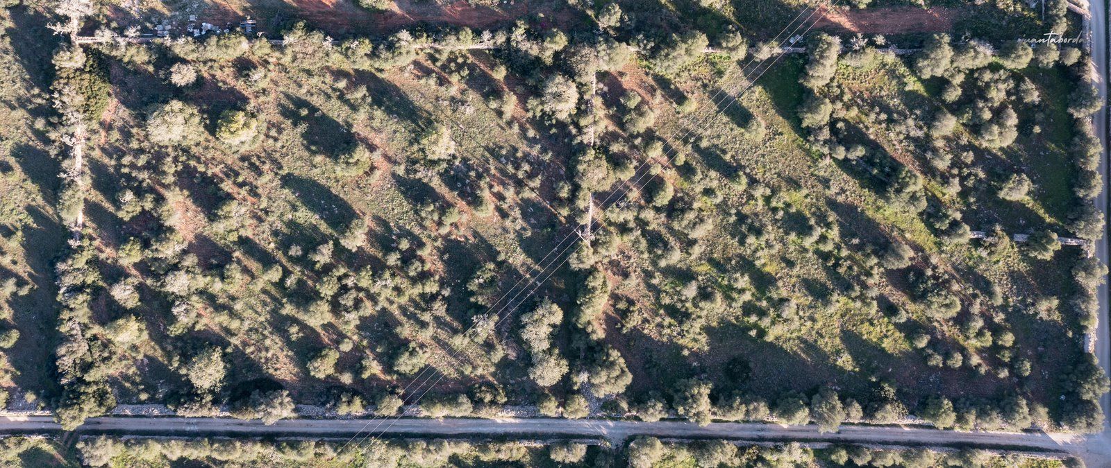 Terreno rústico edificable en Ses Salines, sureste de Mallorca