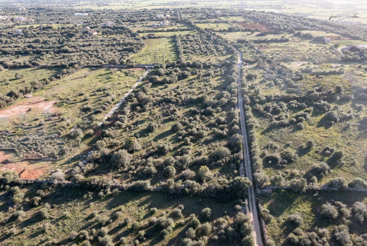 Terreno rústico edificable en Ses Salines, sureste de Mallorca