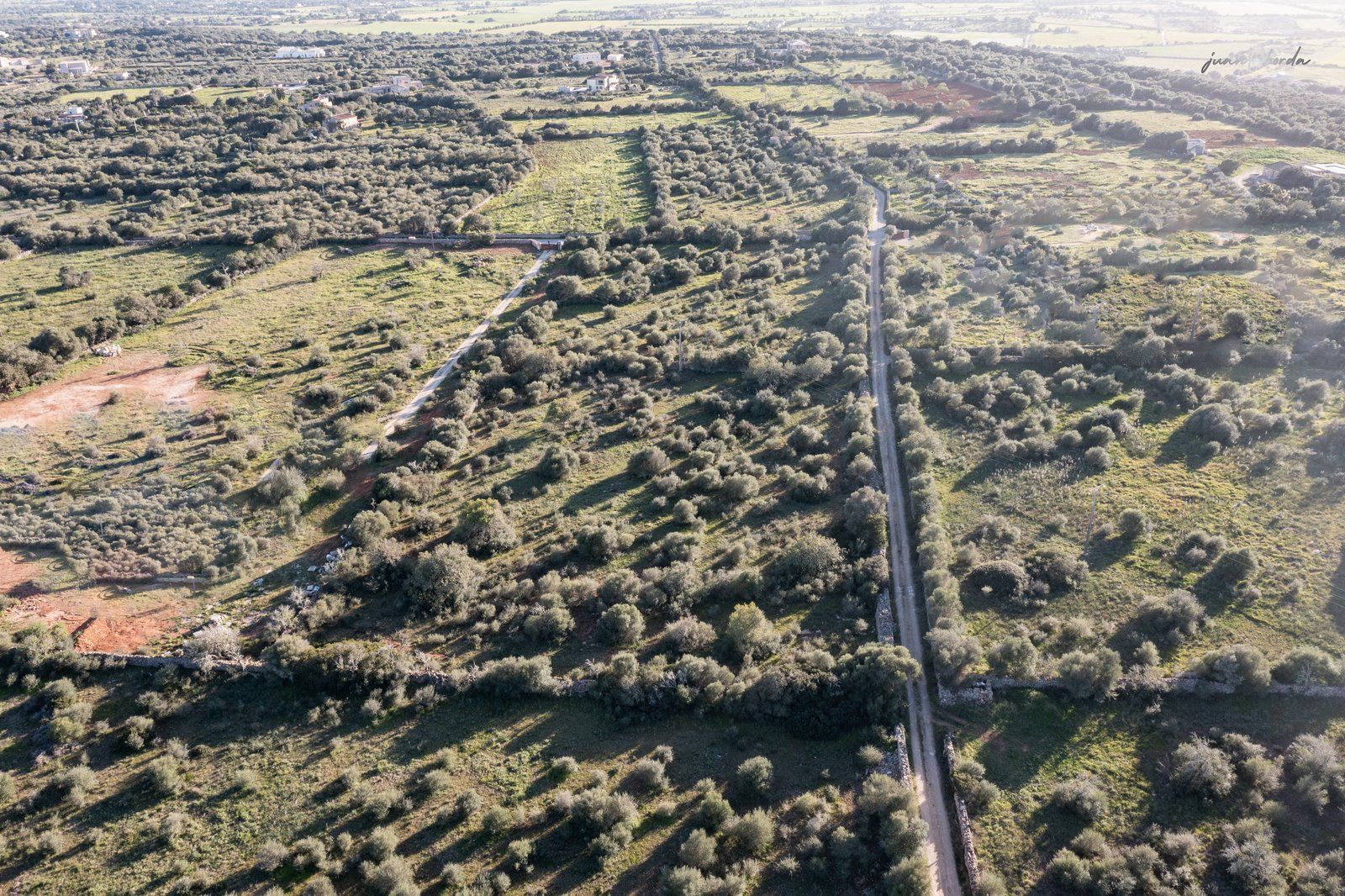 Terreno rústico edificable en Ses Salines, sureste de Mallorca