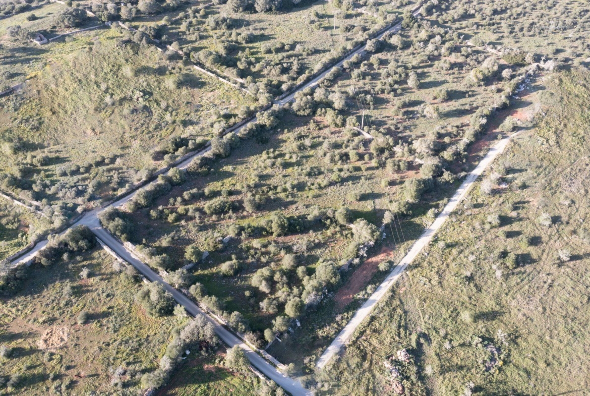 Terreno rústico edificable en Ses Salines, sureste de Mallorca