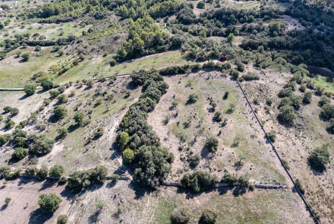 Casa de campo en Son Macià – finca rústica con jardín en Manacor