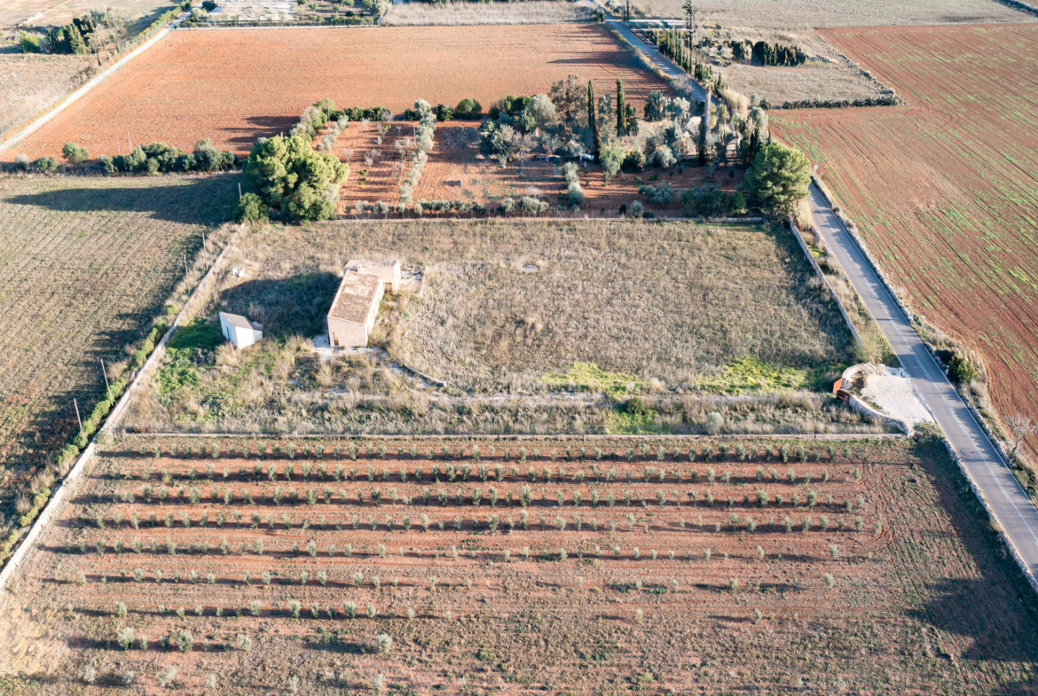 Casa de campo en Campos a minutos de Es Trenc