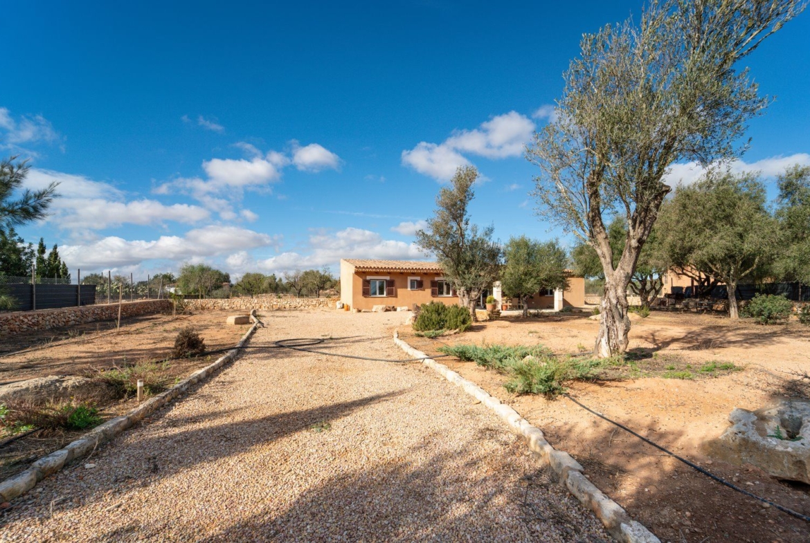 Finca zur Miete bei Campos, Südmallorca