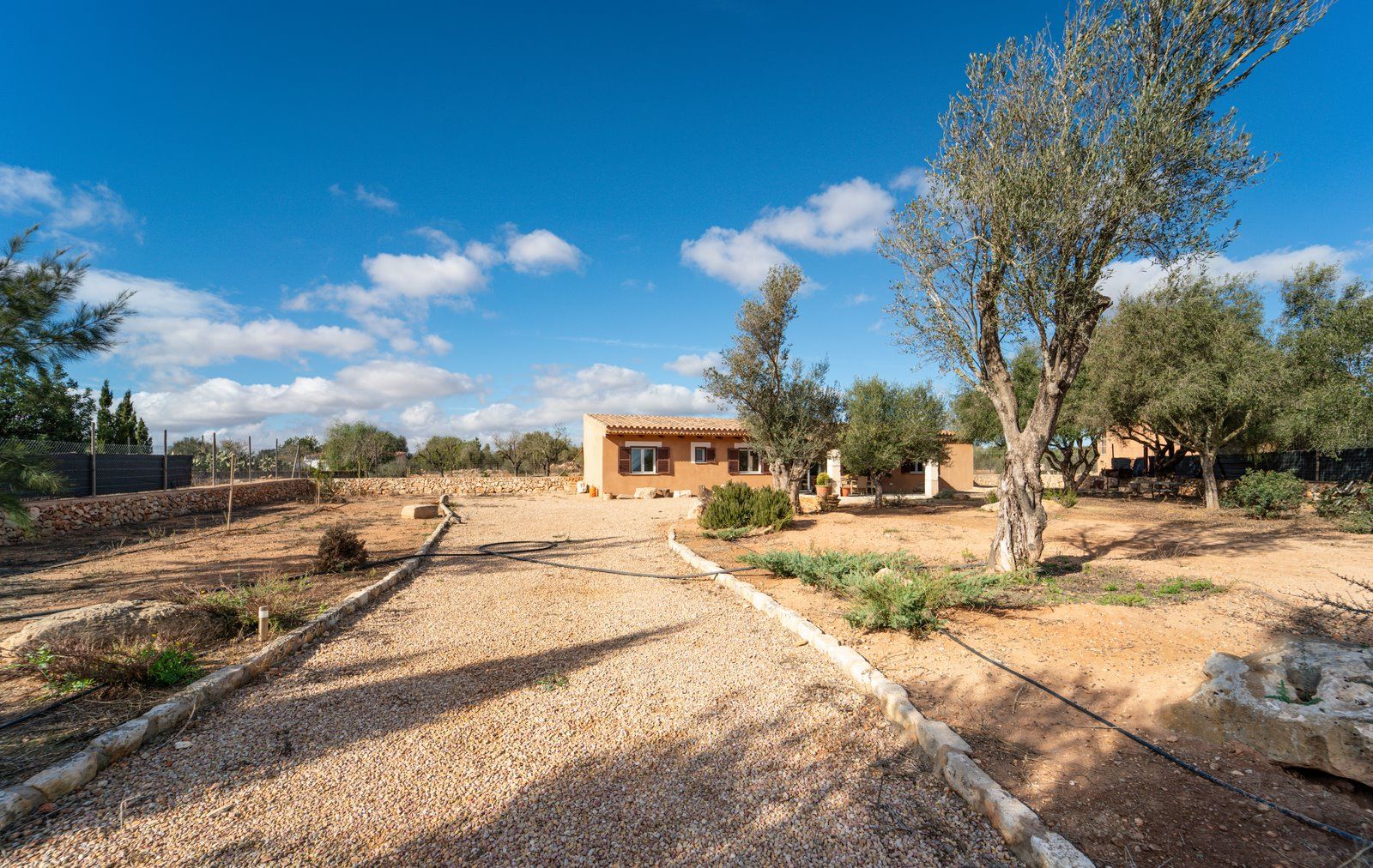 1375-Country-house-to-rent-in-Campos-2-Copiar.jpg Finca zur Miete bei Campos, Südmallorca