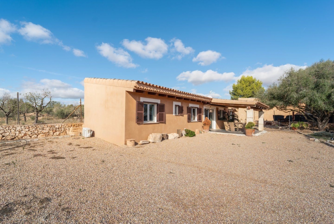 Finca zur Miete bei Campos, Südmallorca