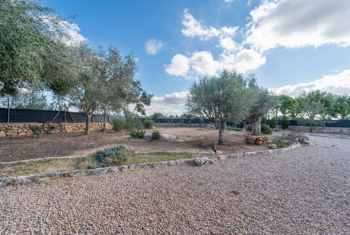 Finca zur Miete bei Campos, Südmallorca