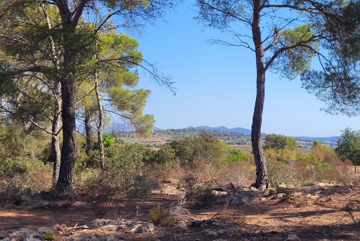 Terreno edificable con proyecto aprobado en Son Amoixa, Manacor
