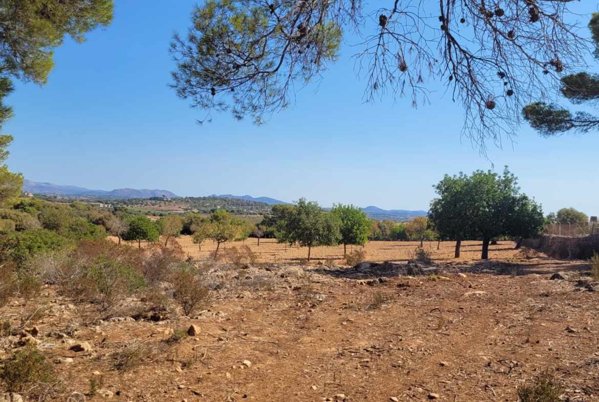 Terreno edificable con proyecto aprobado en Son Amoixa, Manacor