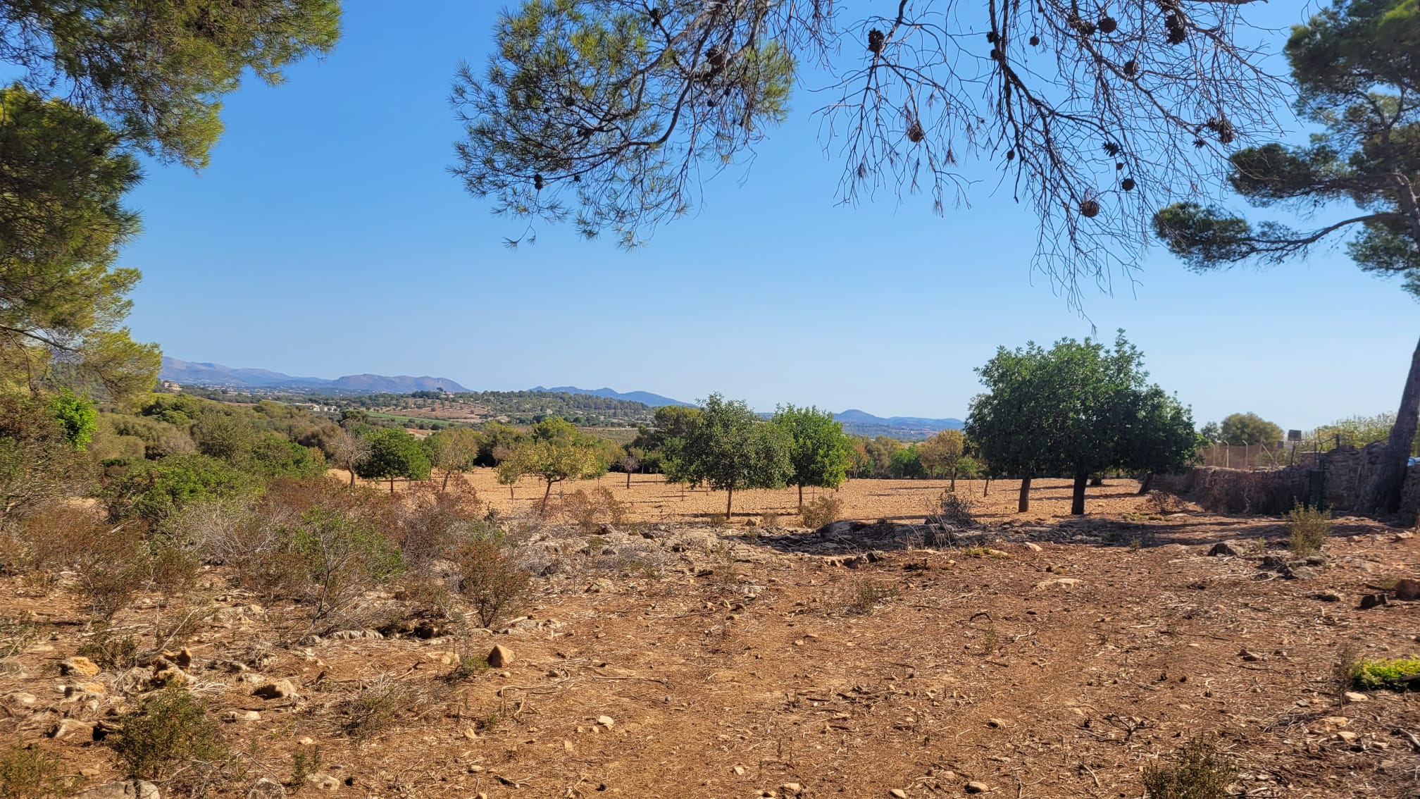 1378-Plot-for-sale-in-Manacor-PHOTO-2023-05-23-16-11-21_1.jpg Terreno edificable con proyecto aprobado en Son Amoixa, Manacor