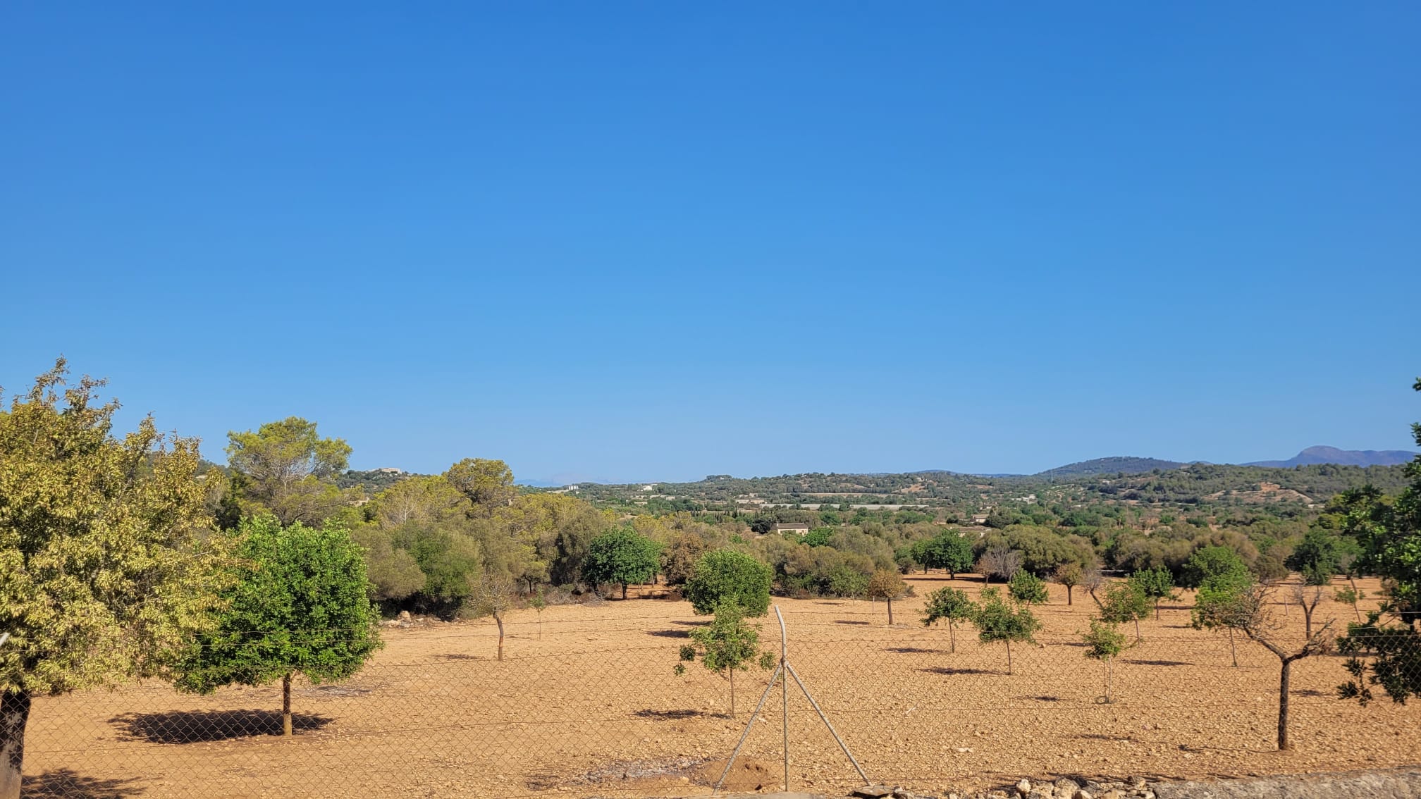 1378-Plot-for-sale-in-Manacor-PHOTO-2023-05-23-16-11-21_2.jpg Terreno edificable con proyecto aprobado en Son Amoixa, Manacor