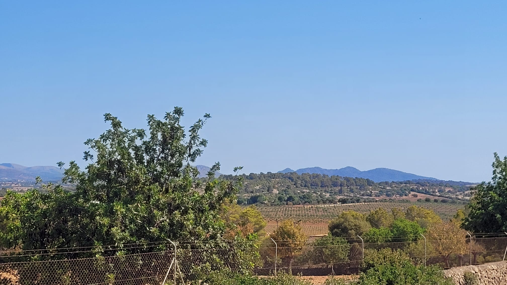 1378-Plot-for-sale-in-Manacor-PHOTO-2023-05-23-16-11-21_3.jpg Terreno edificable con proyecto aprobado en Son Amoixa, Manacor