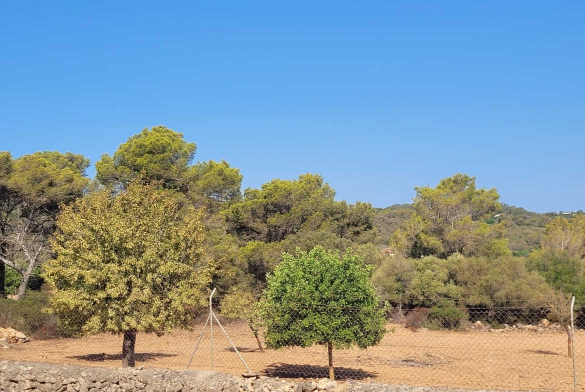 Terreno edificable con proyecto aprobado en Son Amoixa, Manacor