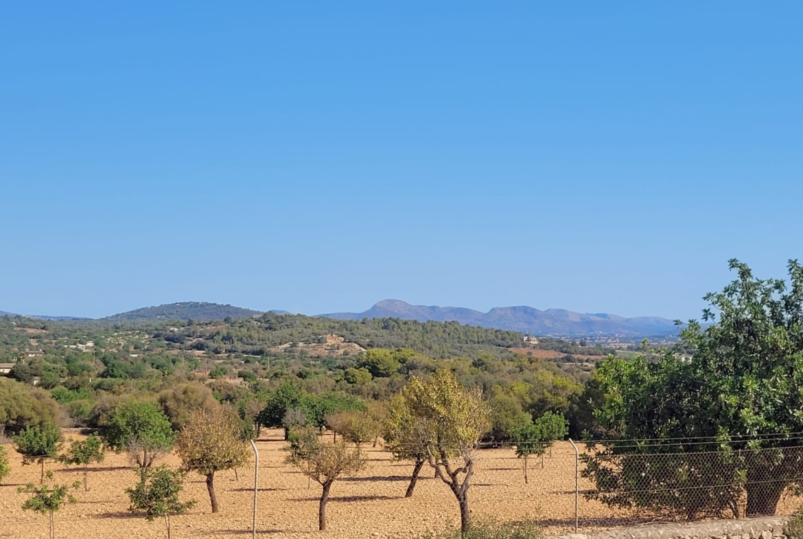 Terreno edificable con proyecto aprobado en Son Amoixa, Manacor