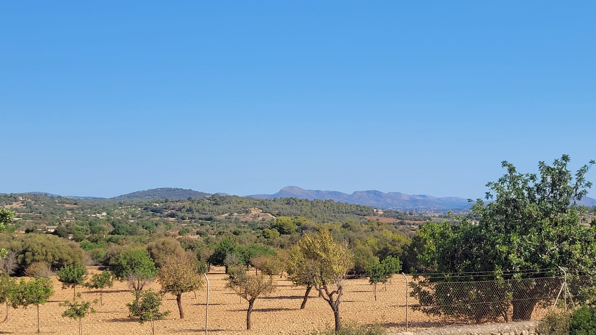 1378-Plot-for-sale-in-Manacor-PHOTO-2023-05-23-16-11-22.jpg Terreno edificable con proyecto aprobado en Son Amoixa, Manacor