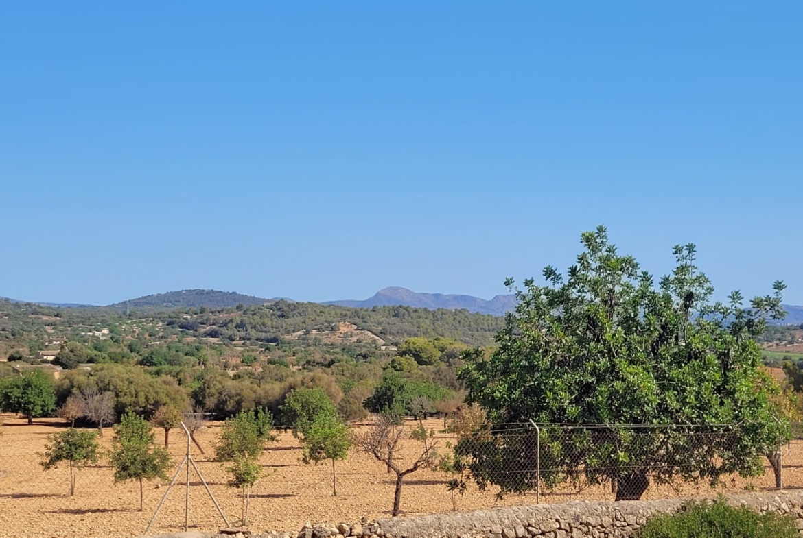 Terreno edificable con proyecto aprobado en Son Amoixa, Manacor