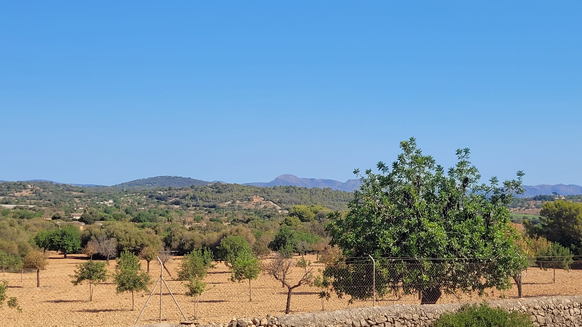 1378-Plot-for-sale-in-Manacor-PHOTO-2023-05-23-16-11-22_1.jpg Terreno edificable con proyecto aprobado en Son Amoixa, Manacor