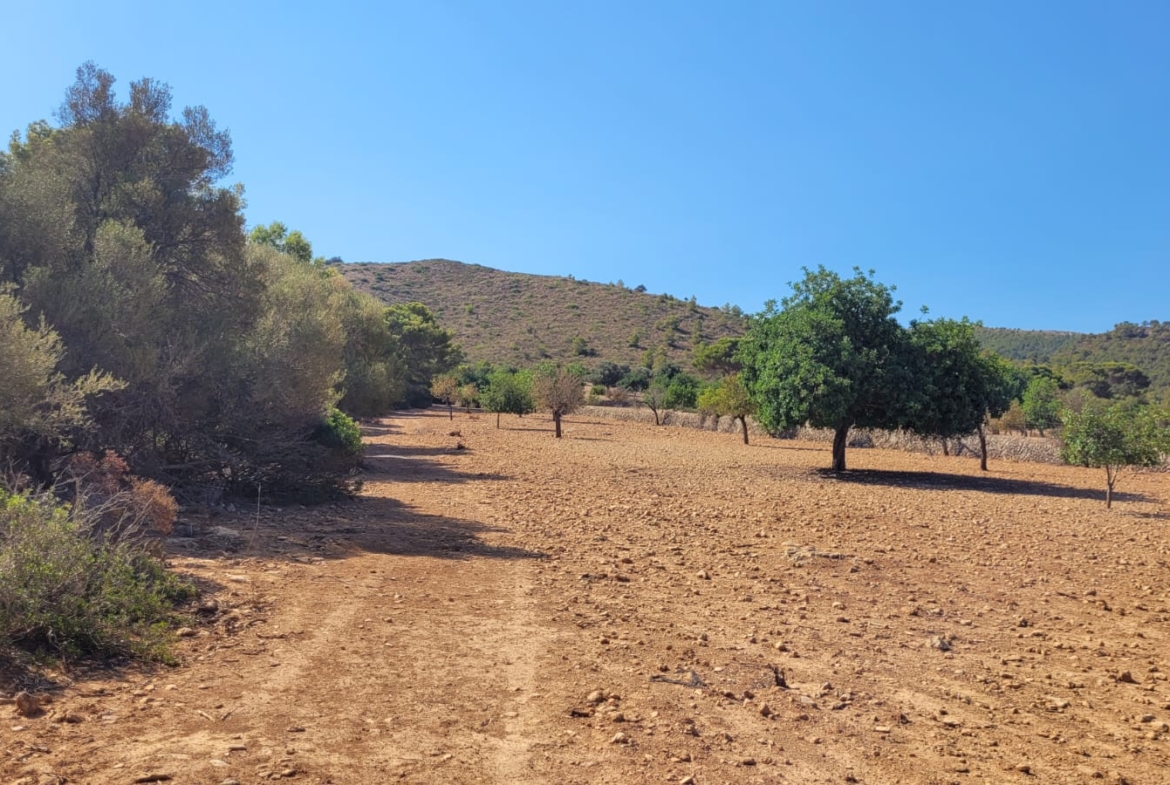 Terreno edificable con proyecto aprobado en Son Amoixa, Manacor