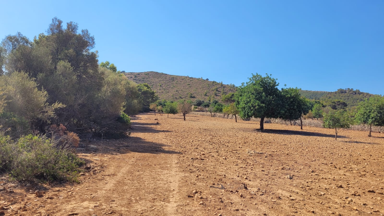 1378-Plot-for-sale-in-Manacor-PHOTO-2023-05-23-16-11-22_2.jpg Terreno edificable con proyecto aprobado en Son Amoixa, Manacor