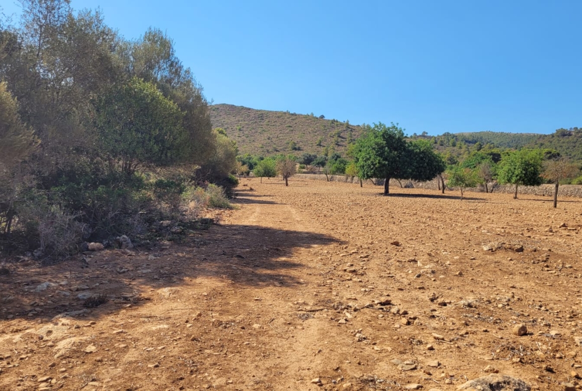 Terreno edificable con proyecto aprobado en Son Amoixa, Manacor