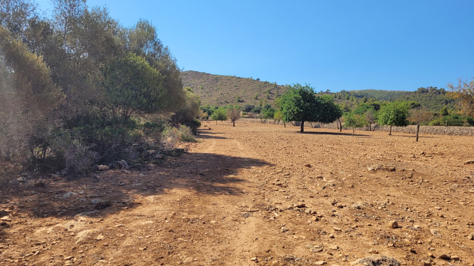 1378-Plot-for-sale-in-Manacor-PHOTO-2023-05-23-16-11-22_3.jpg Terreno edificable con proyecto aprobado en Son Amoixa, Manacor
