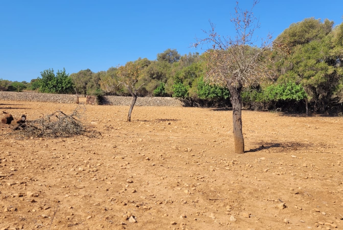 Terreno edificable con proyecto aprobado en Son Amoixa, Manacor