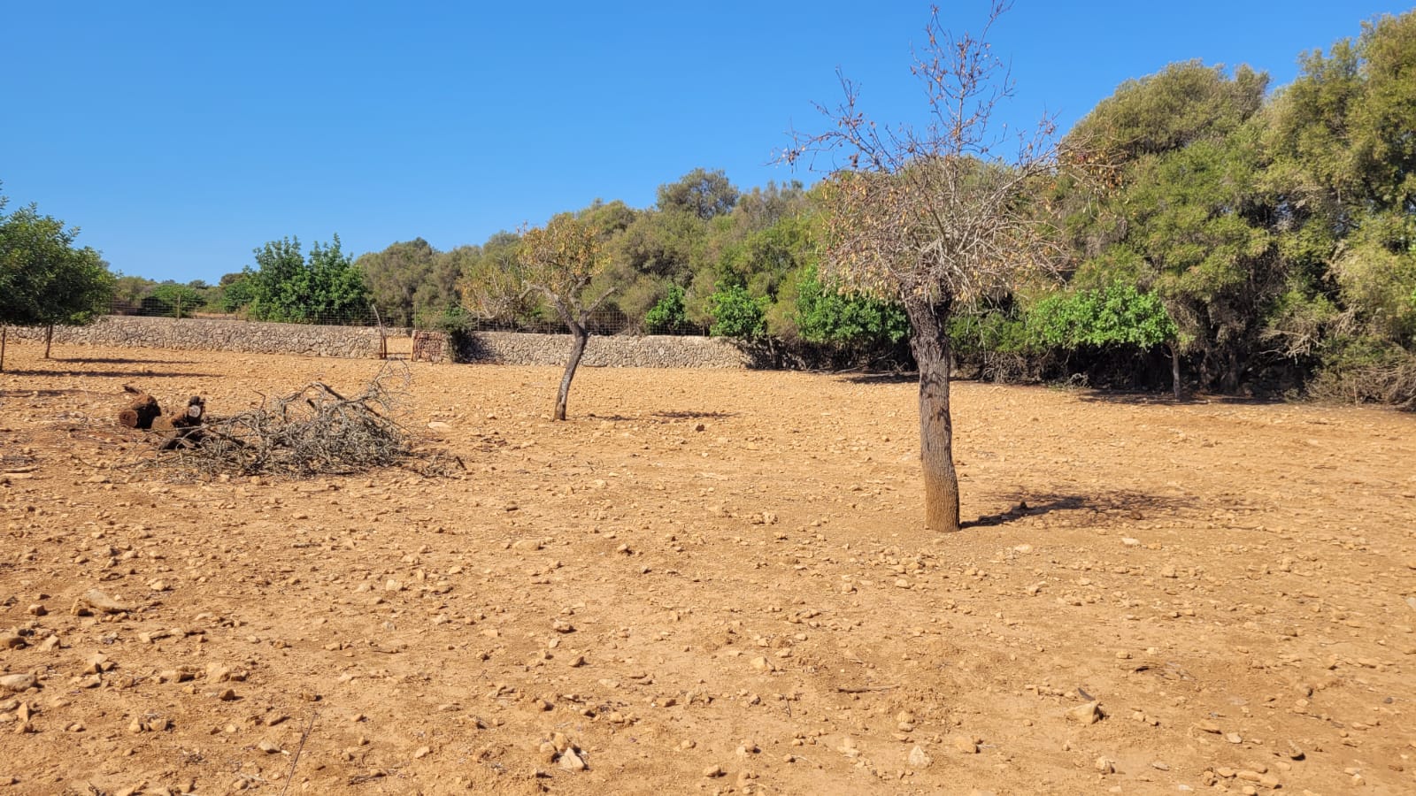 1378-Plot-for-sale-in-Manacor-PHOTO-2023-05-23-16-11-22_4.jpg Terreno edificable con proyecto aprobado en Son Amoixa, Manacor