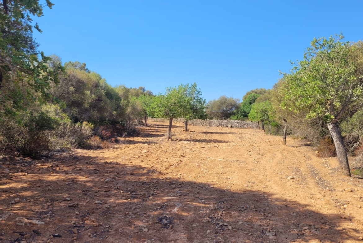 Terreno edificable con proyecto aprobado en Son Amoixa, Manacor