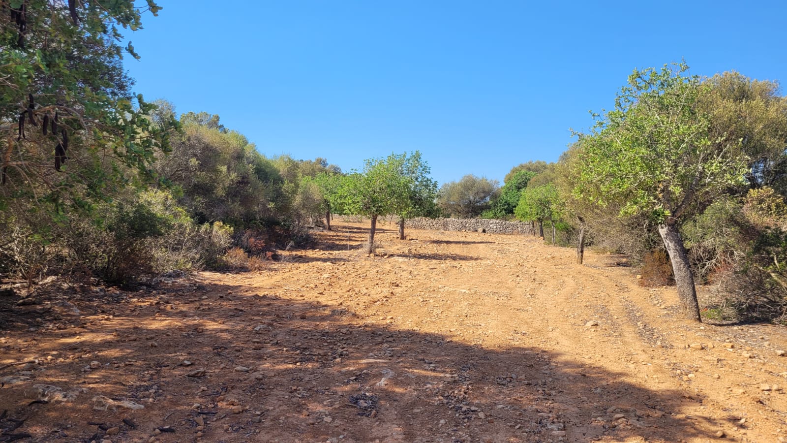 1378-Plot-for-sale-in-Manacor-PHOTO-2023-05-23-16-11-23.jpg Terreno edificable con proyecto aprobado en Son Amoixa, Manacor