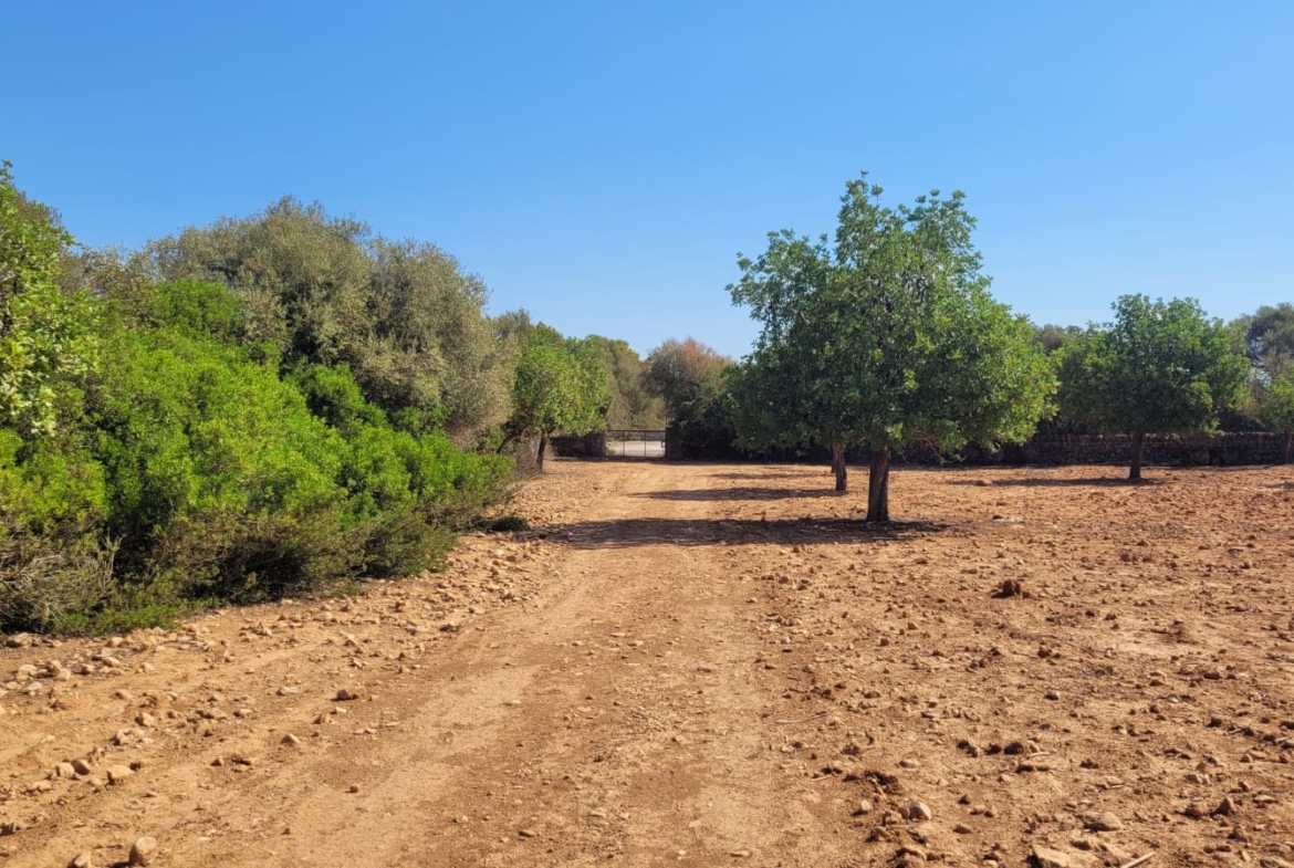Terreno edificable con proyecto aprobado en Son Amoixa, Manacor