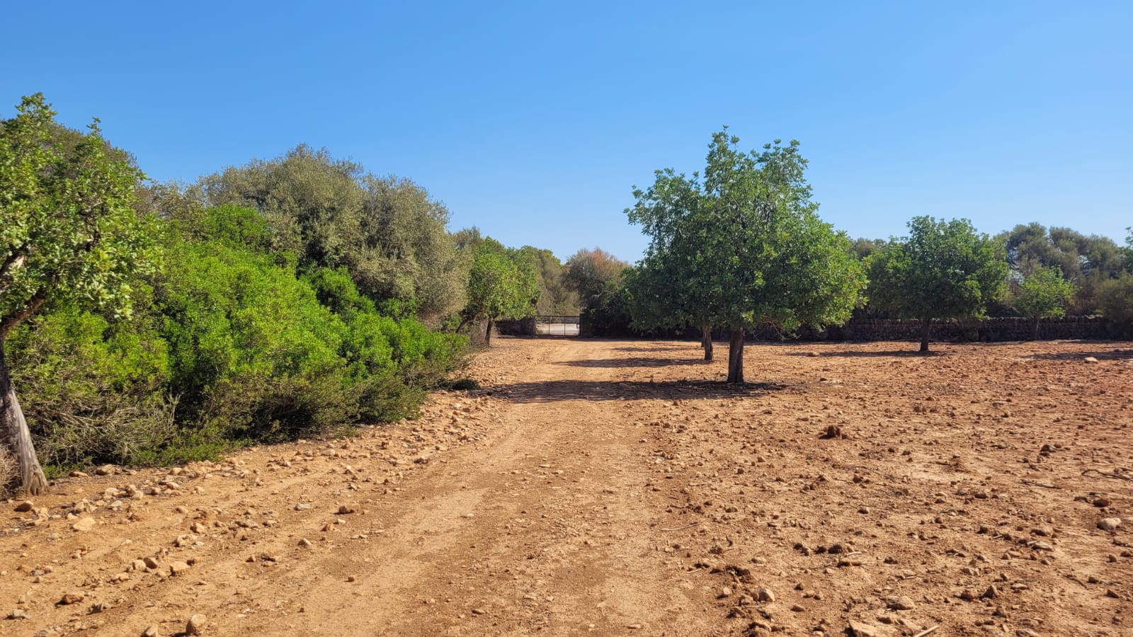 1378-Plot-for-sale-in-Manacor-PHOTO-2023-05-23-16-11-23_1.jpg Terreno edificable con proyecto aprobado en Son Amoixa, Manacor