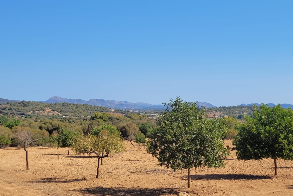 Terreno edificable con proyecto aprobado en Son Amoixa, Manacor