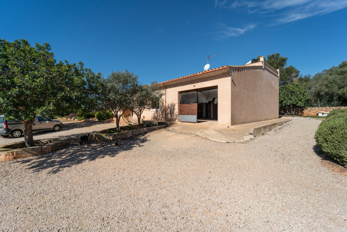 Country House with Pool for Rent Near Ses Salines, Mallorca