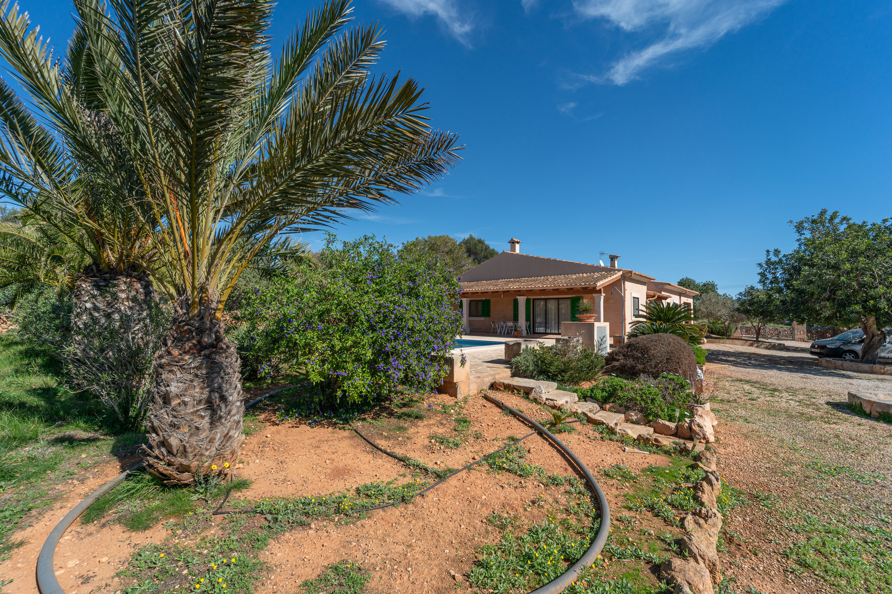 1396-Country-house-to-rent-in-Ses-Salines-14.jpg Country House with Pool for Rent Near Ses Salines, Mallorca