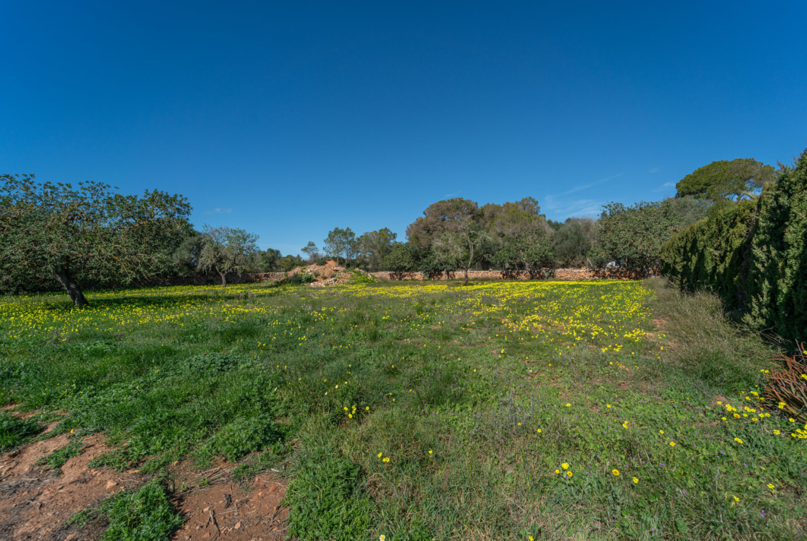 Country House with Pool for Rent Near Ses Salines, Mallorca
