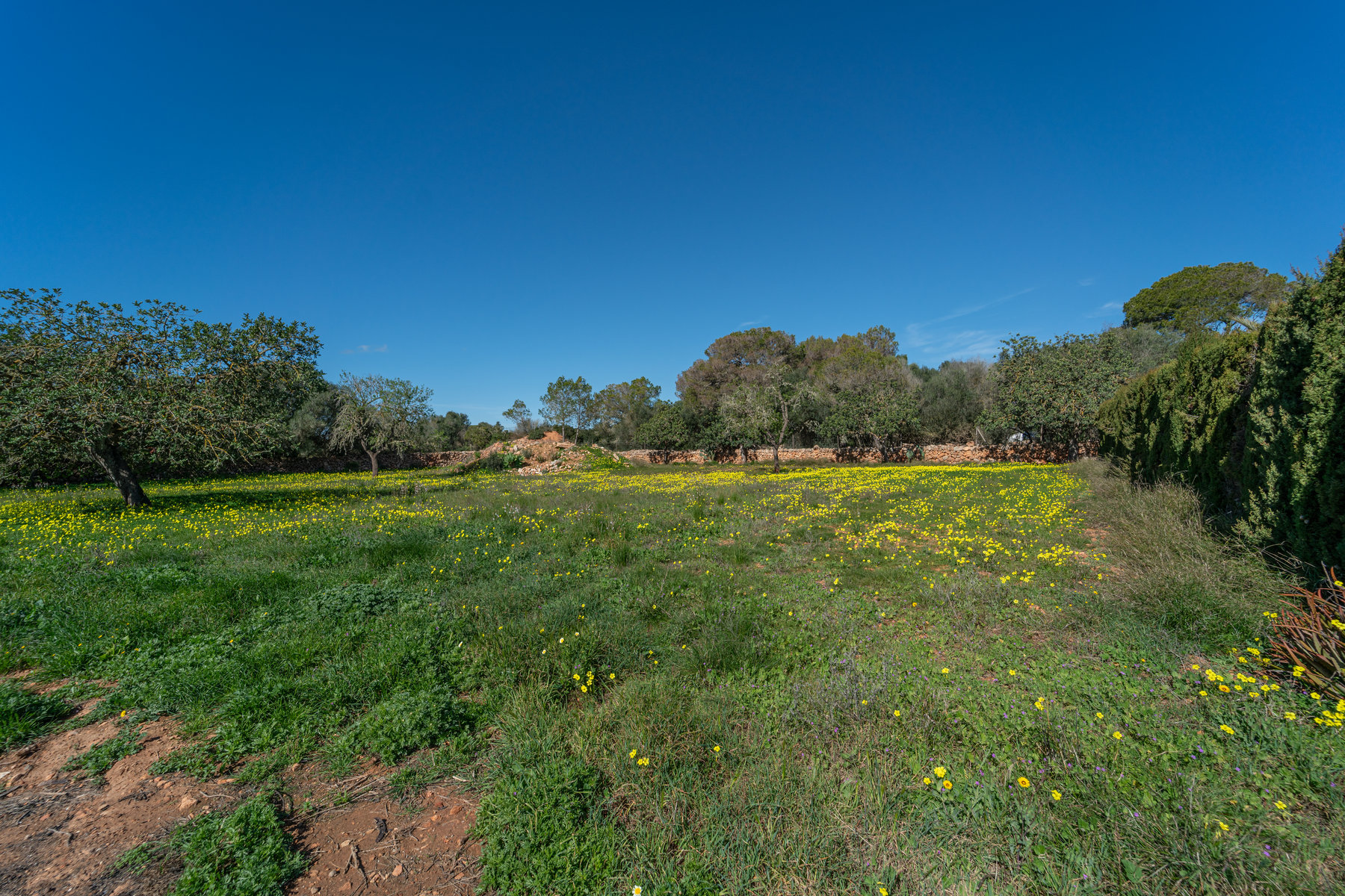 1396-Country-house-to-rent-in-Ses-Salines-15.jpg Country House with Pool for Rent Near Ses Salines, Mallorca