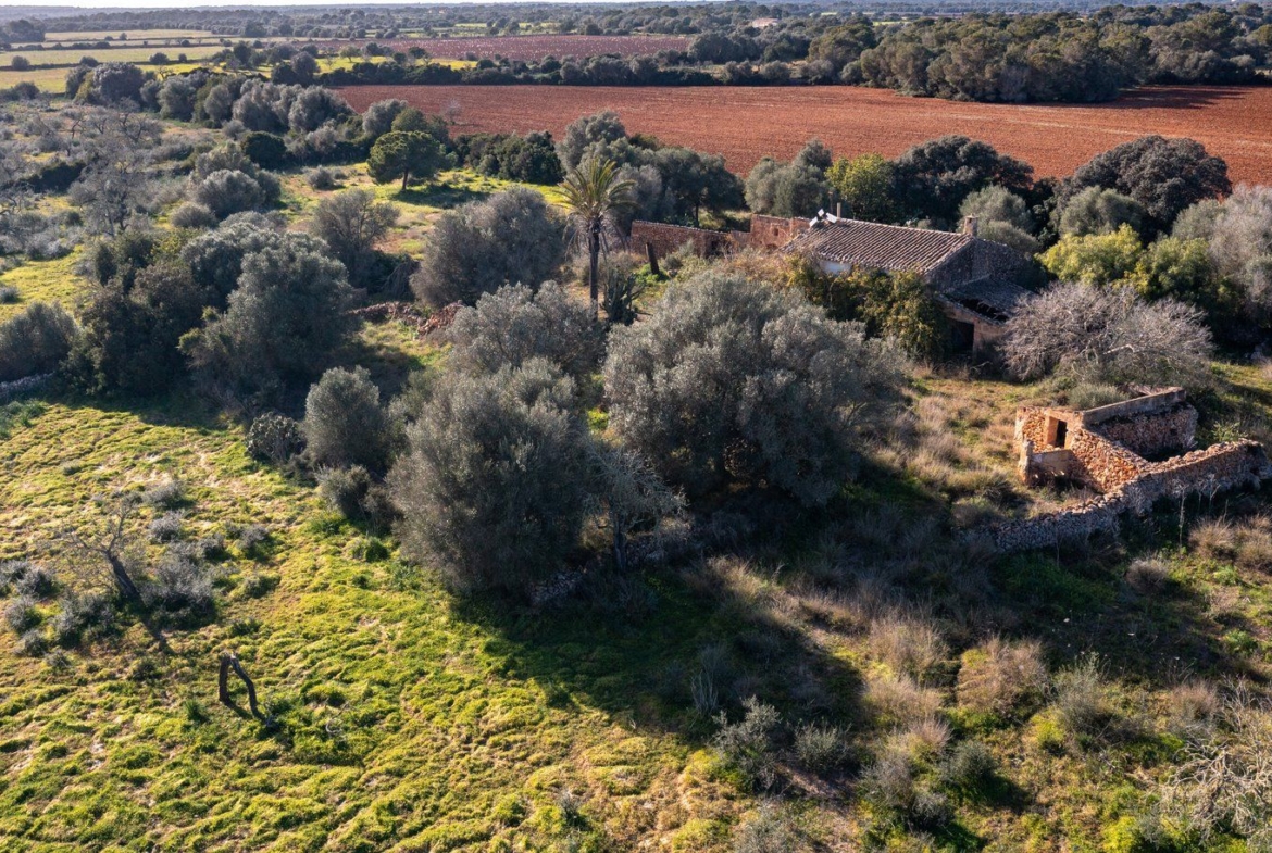 Finca rústica junto a Cala Pí — 136.400 m², término Llucmajor, a 10 min de la costa