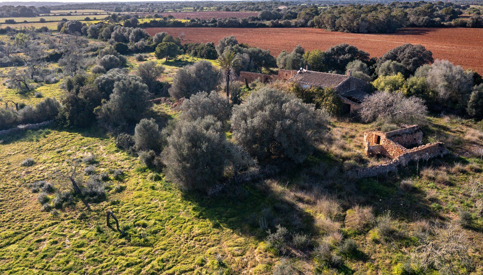 14-866-Villasyfincasmallorca.jpg Finca rústica junto a Cala Pí — 136.400 m², término Llucmajor, a 10 min de la costa