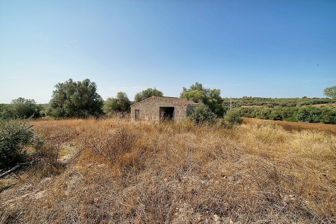 Finca rústica de 167.000 m² entre Campos y Santanyí