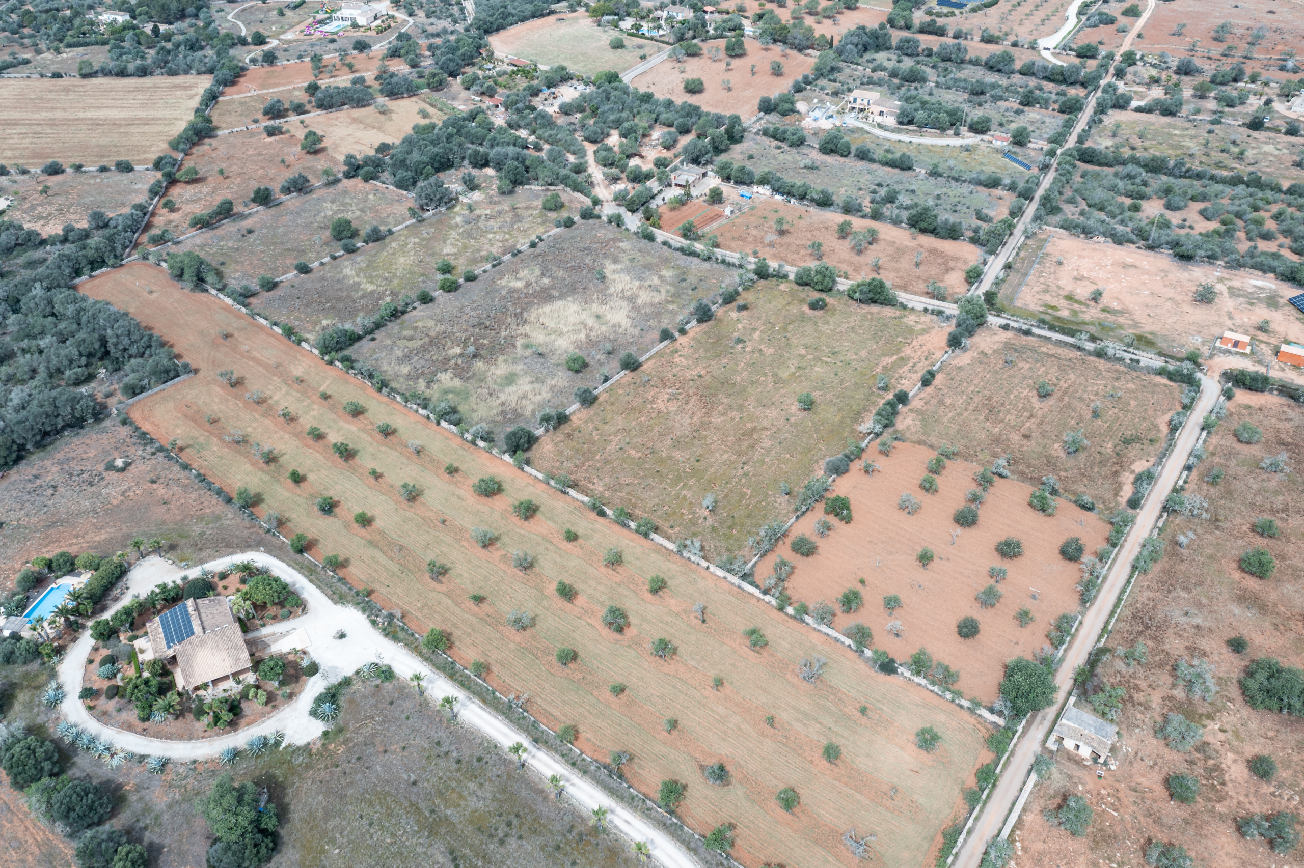 Terreno edificable de 19.385 m² junto a Santanyí, Mallorca
