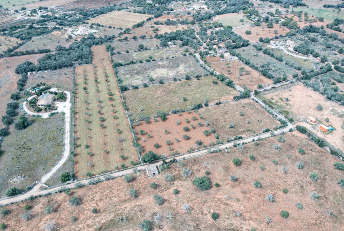 Terreno edificable de 19.385 m² junto a Santanyí, Mallorca