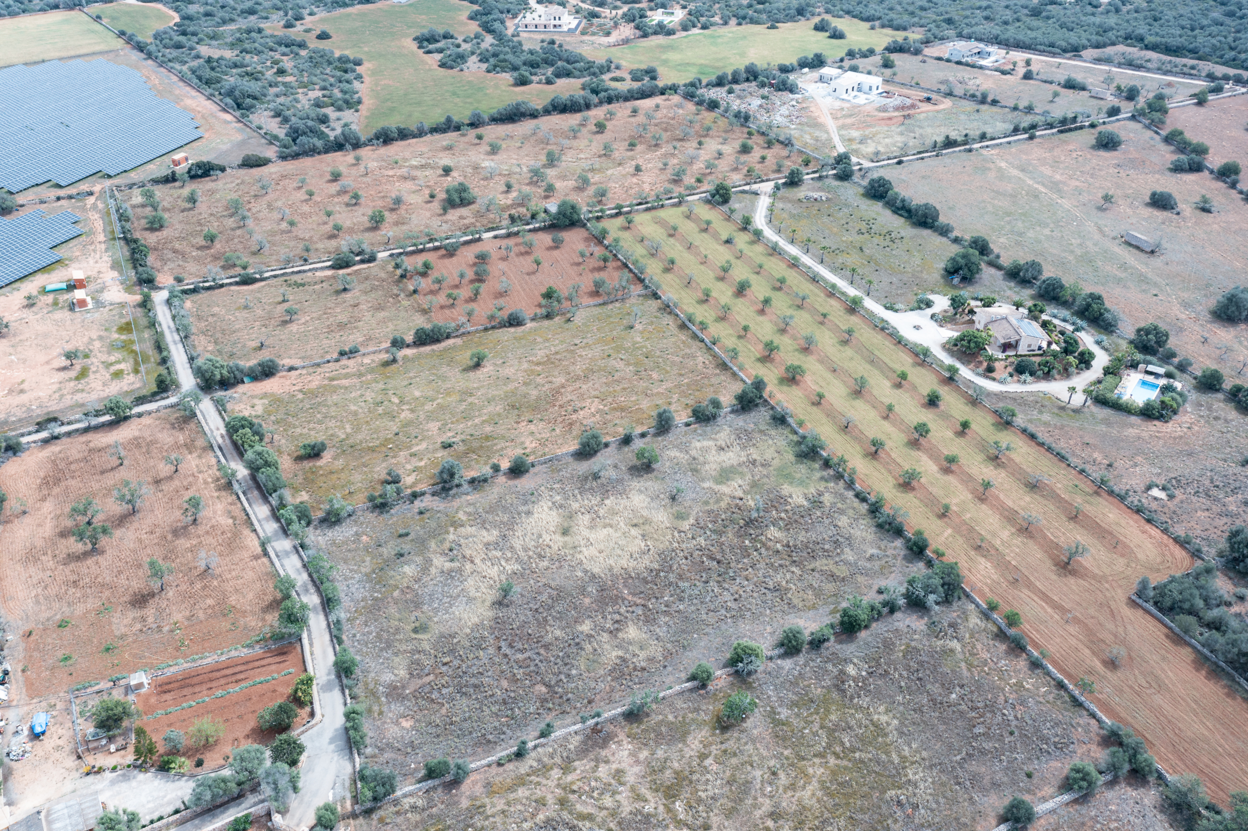 Terreno edificable de 19.385 m² junto a Santanyí, Mallorca