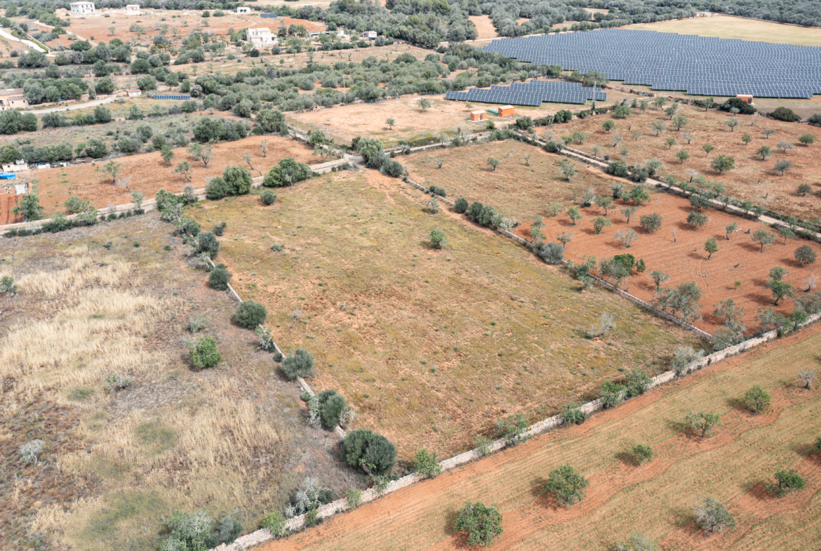 Terreno edificable de 19.385 m² junto a Santanyí, Mallorca