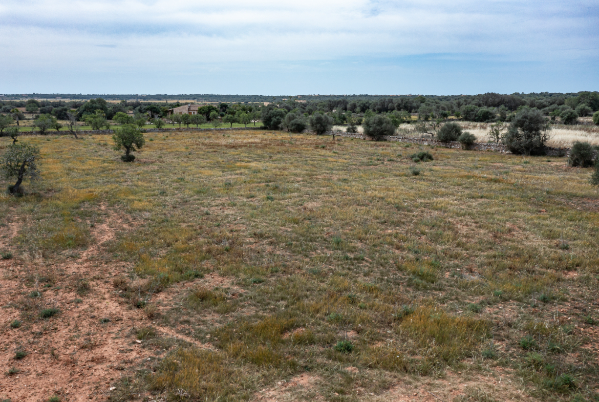 Terreno edificable de 19.385 m² junto a Santanyí, Mallorca