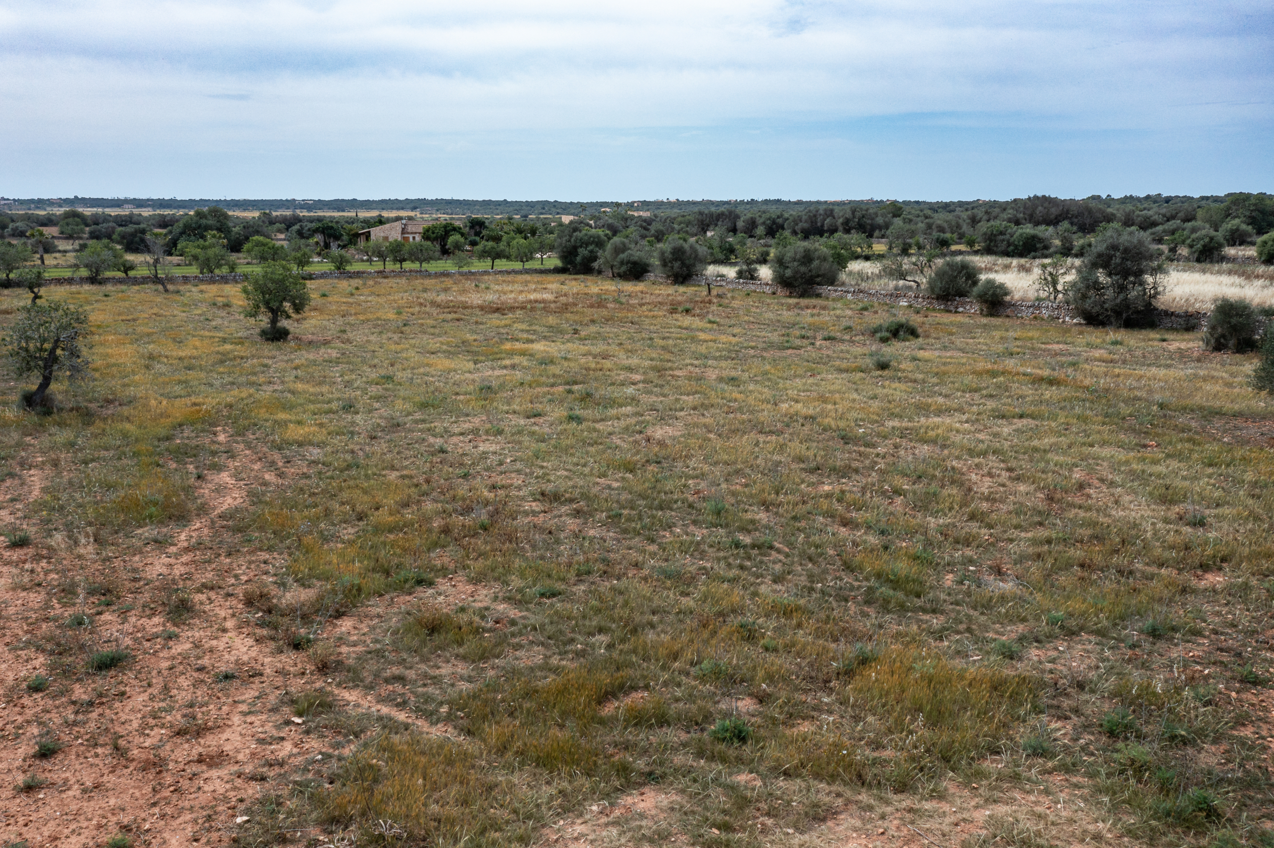 Terreno edificable de 19.385 m² junto a Santanyí, Mallorca
