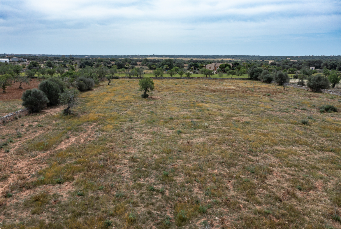 Terreno edificable de 19.385 m² junto a Santanyí, Mallorca