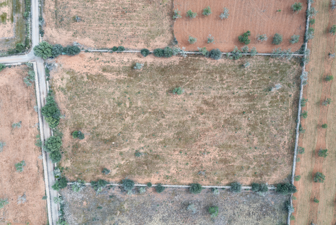 Terreno edificable de 19.385 m² junto a Santanyí, Mallorca