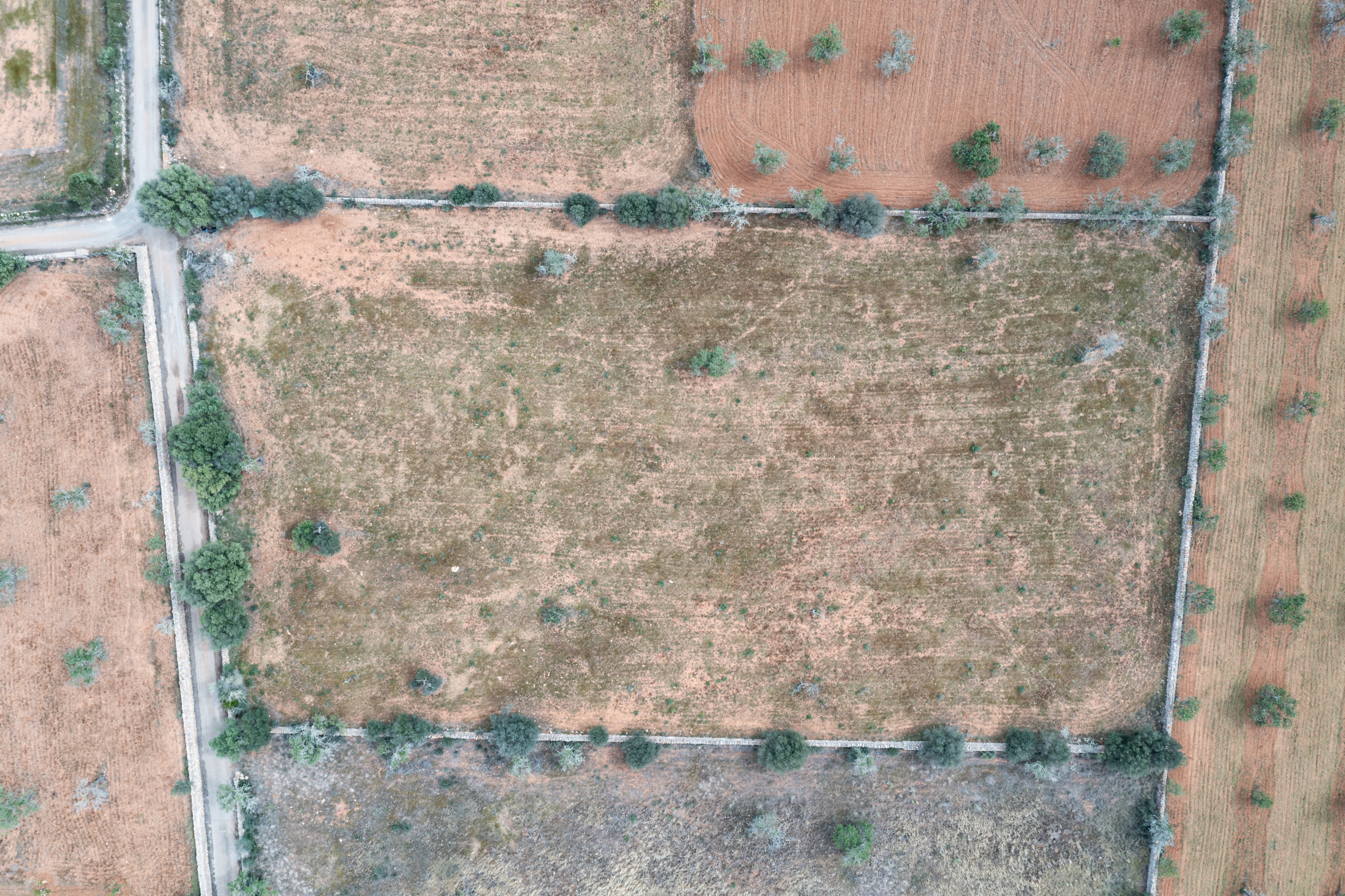 Terreno edificable de 19.385 m² junto a Santanyí, Mallorca